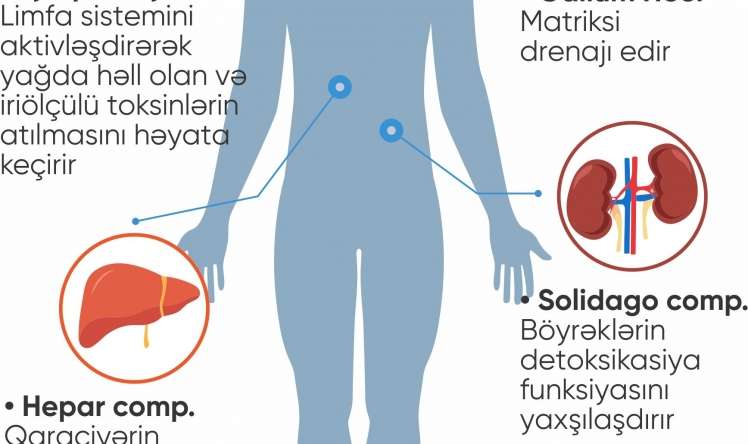 Azərbaycanda ilk hamiləliyə hazırlıq müalicə proqramı 