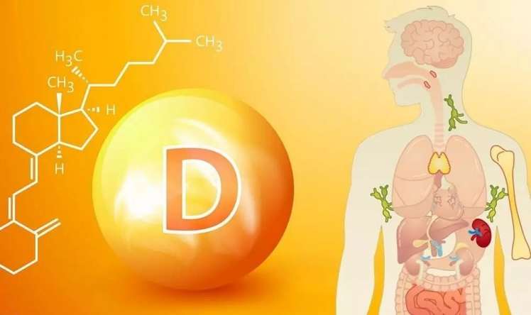D vitamini - analiz, əlamətlər, risklər 