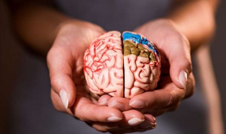 Beyin qan dövranı pozulmalarında   bioloji preparat