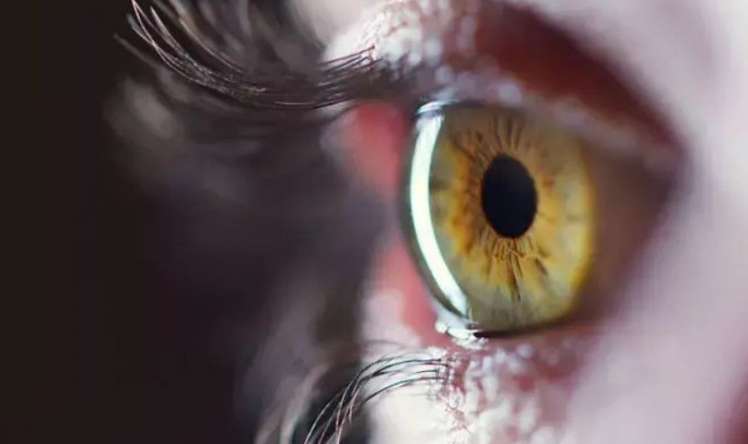 Nə qədər ömrümüzün qaldığı gözümüzdən müəyyən ediləcək –  Alimlərdən şok açıqlama