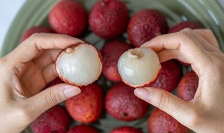 Sağlamlıq üçün yediyimiz bəzi meyvələr  ölümcül təhlükəli imiş 