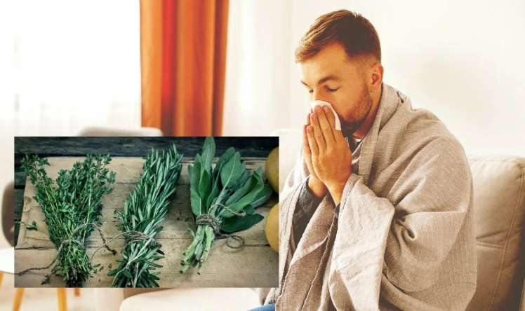 Qrip və soyuqdəyməni yox edir -  Hər marketdə var