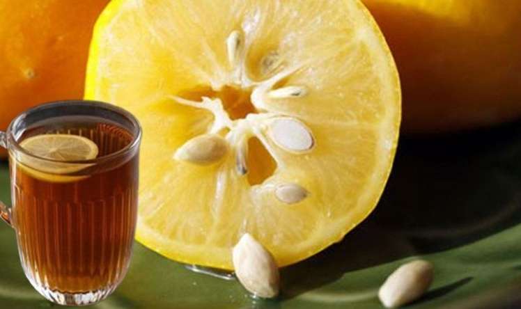 Limon toxumunu qaynadıb için -  Faydaları