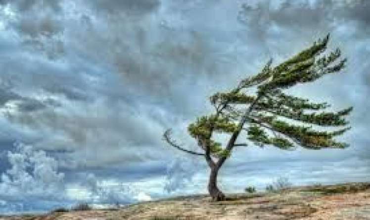 Hava ilə bağlı xəbərdarlıq 