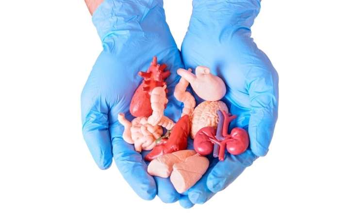 Uğurla transplantasiya olunan    9 orqan