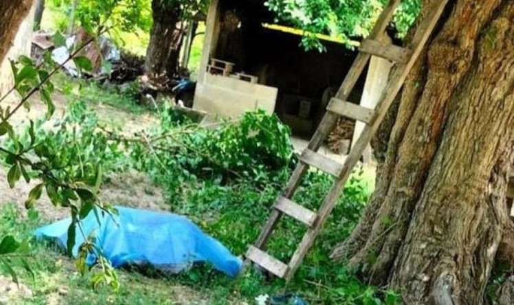 Ağacdan yıxılan 63 yaşlı kişi öldü 