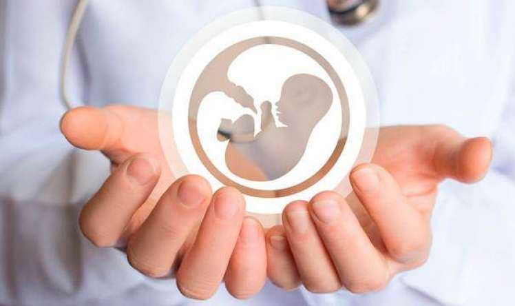 Qanunsuz süni mayalanmaya görə cəzalar sərtləşdirilir 