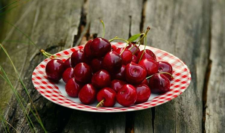 Albalı, gilas adamı kökəldir? 