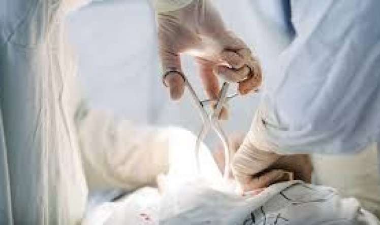 Azərbaycanda qanunsuz abort və süni mayalanma ilə bağlı   - Prezidentdən yeni fərman