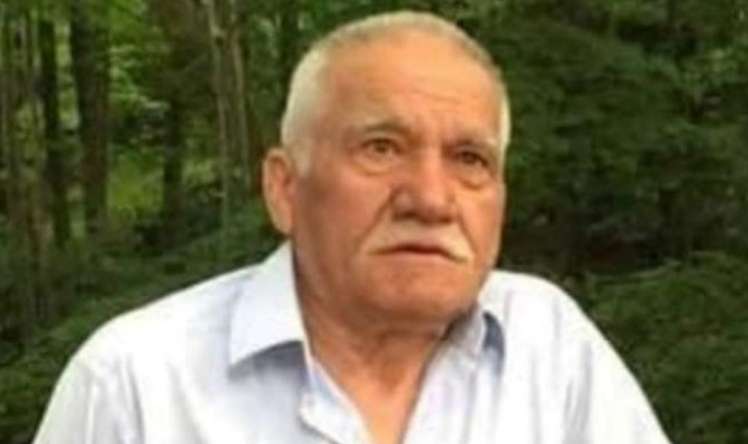 Arı sancdı - Öldü