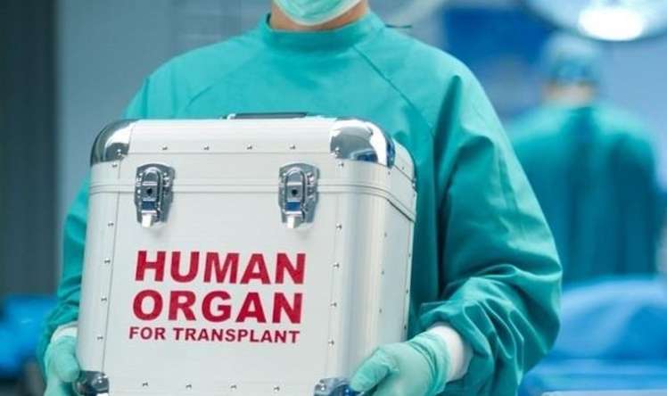 Sümük iliyi transplantasiyasına ehtiyac duyan şəxslərin sayı açıqlandı 