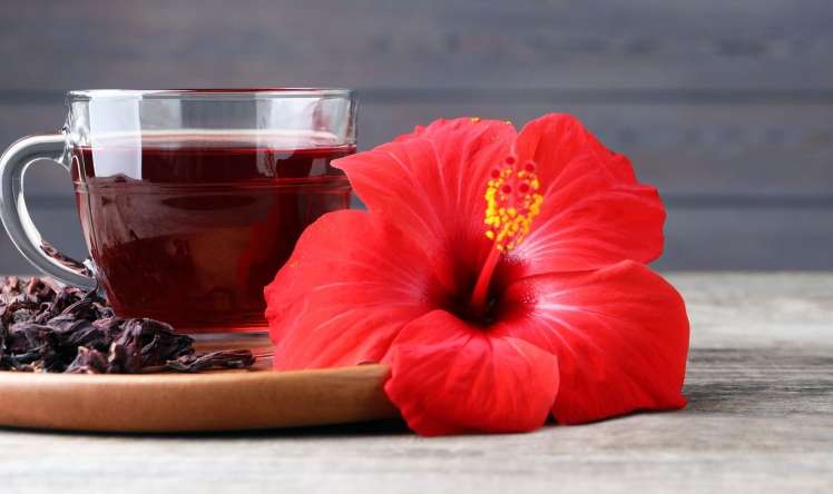 Hər gün hibiskus çayı içməyin faydaları 