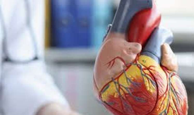 Stent qoyulan xəstələrin etdiyi səhvlər  – Kardioloq xəbərdarlıq edir