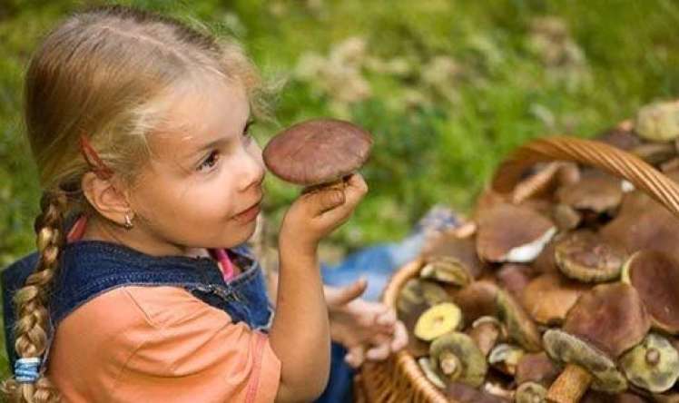 12 yaşa qədər uşaqlara niyə göbələk olmaz? 