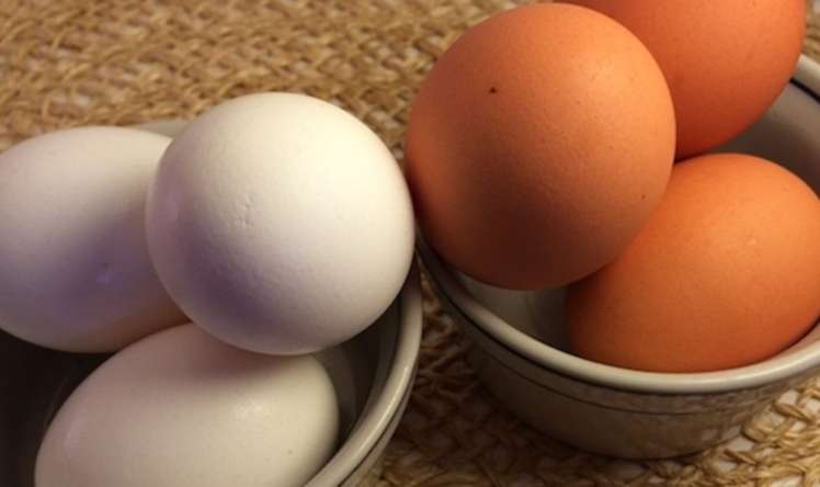 Sarı, yoxsa ağ? -  Hansı yumurta daha faydalıdır? 