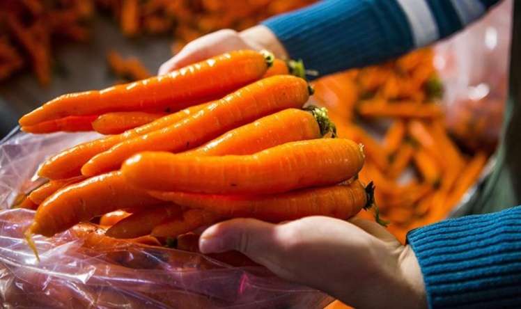 Hər gün bir kök yeməyin  FAYDALARI
