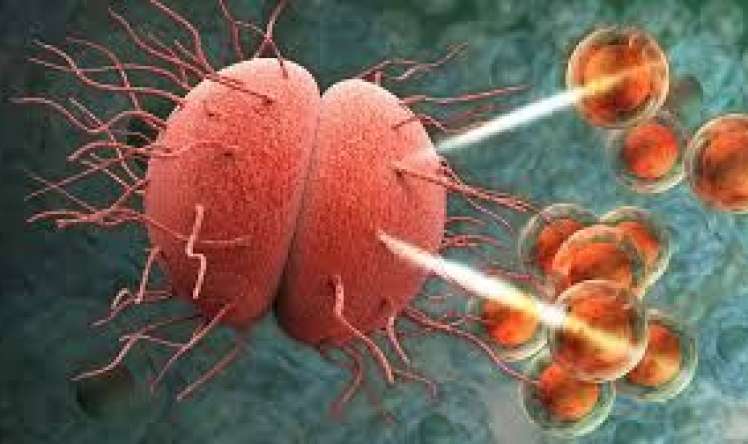 ÜST-dən SOS:  - Antibiotiklərə təslim olmayan infeksiyalar güclənir
