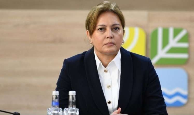 10 ildə Bakıda istilik  səviyyəsi   artıb
