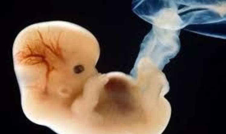 Elmdə ilk:  Qadın və kişi olmadan embrion yaradıldı 