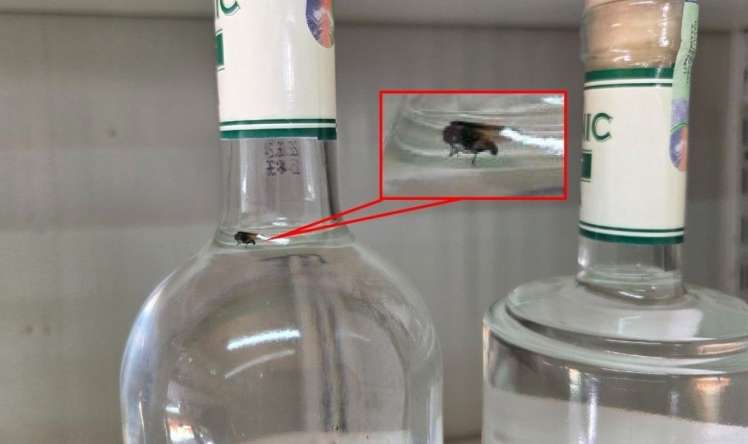Saxta içkidən milçək çıxdı -  FOTO