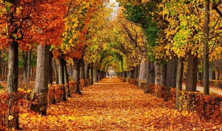 Sabah hava  necə olacaq?