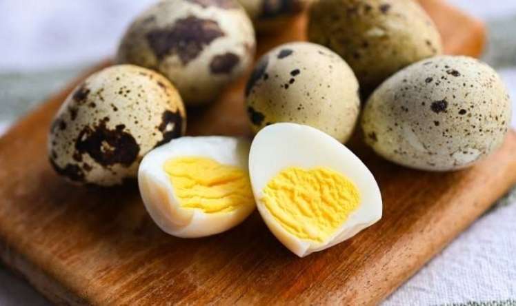 Bildirçin yumurtası uşağın nitqini açır? -  Loqopeddən cavab