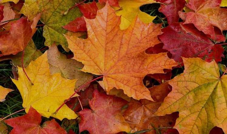 Sabah hava  necə olacaq?