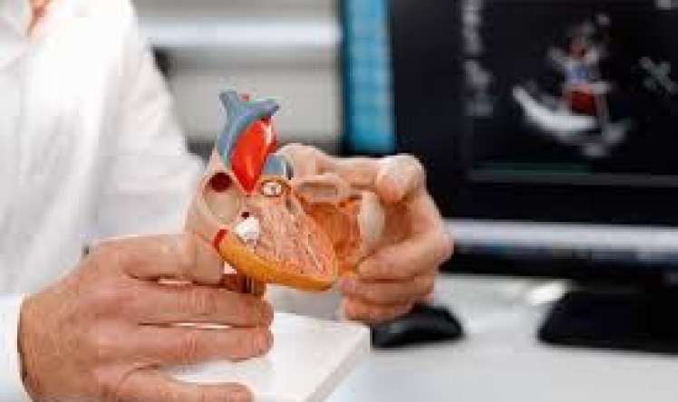 Diabet xəstələrində ürək ağırlaşmasını necə azaldaq? 