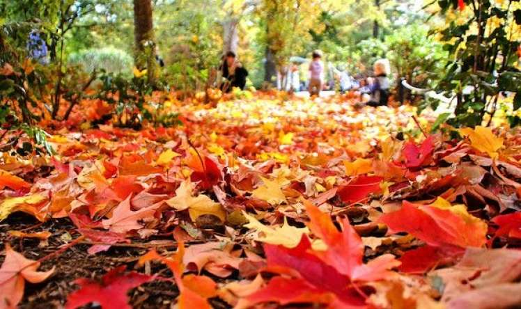 Sabah hava necə olacaq? 