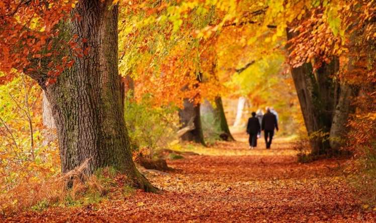 Sabah hava necə olacaq? 