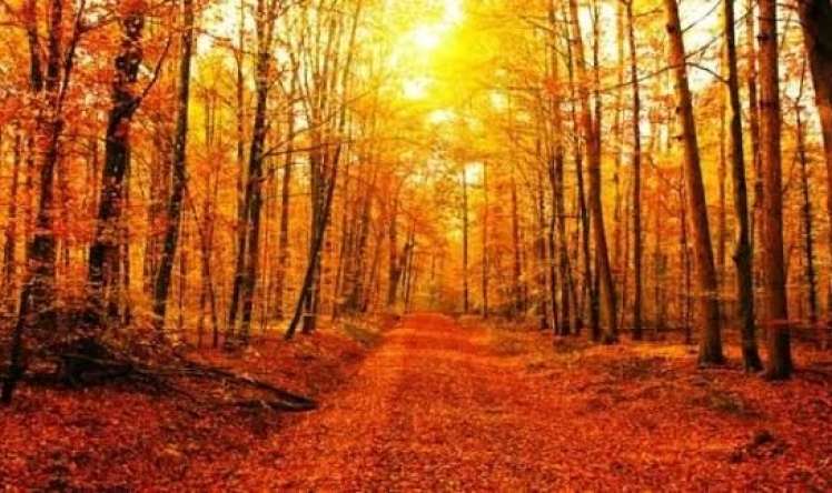 Sabahın hava proqnozu 