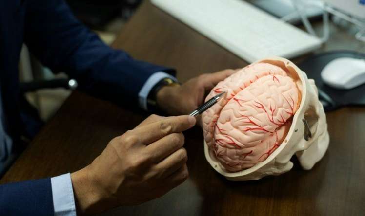  Beyin neçə yaşına qədər yeniyetməlik dövründə qalır? 