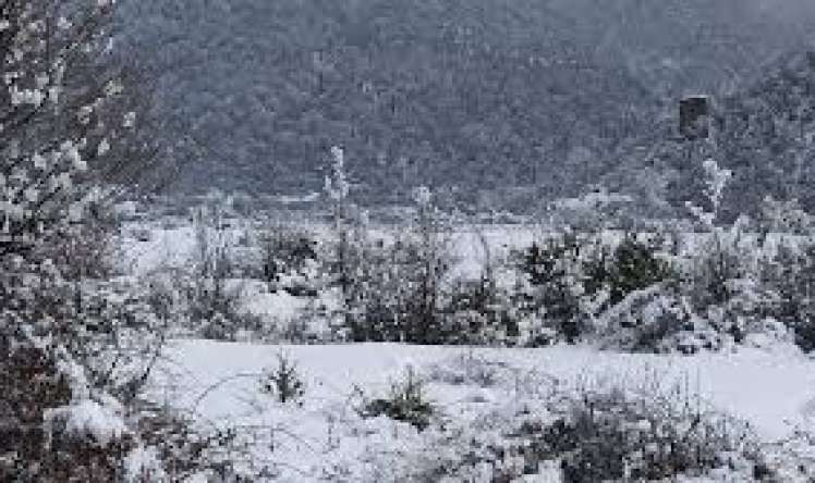 Azərbaycana qar gəldi 