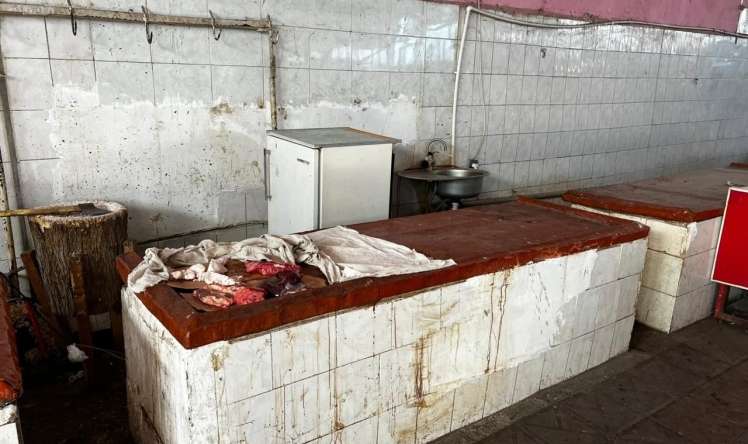 Bu rayonların ərzaq bazarlarında monitorinqlər aparılıb -  VİDEO