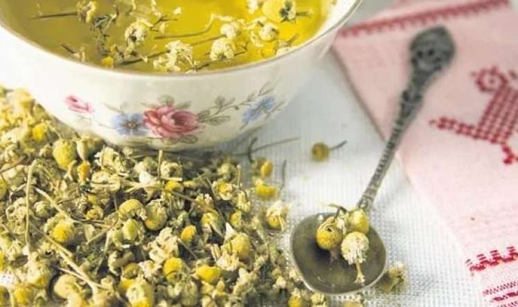 Zehni gücləndirən  5 bitki çayı