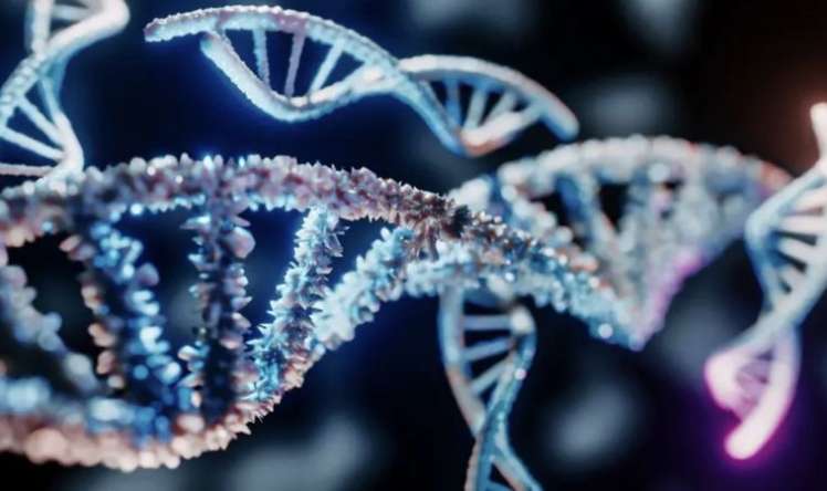 Y xromosomu yoxa çıxır -  Kişilərin sonu gəlir?