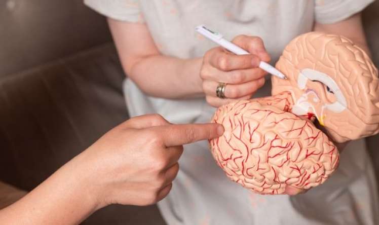 Alimlər beyində psixozun erkən əlamətini tapdı 