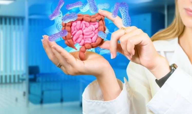 Bağırsaqlar üçün potensial təhlükəli    168 maddə