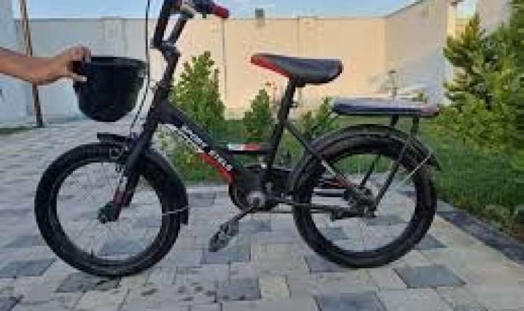 Velosiped uşağın qatili oldu 