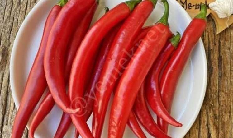 Acılı qidalar arıqlamağa kömək edir 