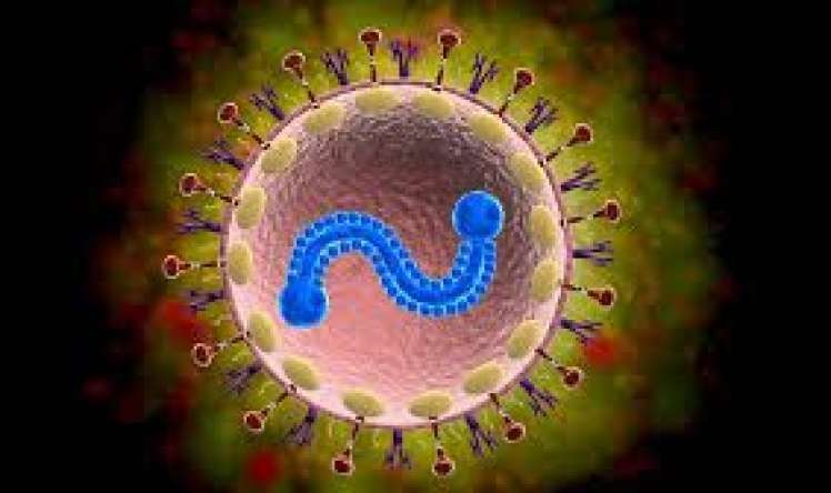  Azərbaycanda yeni virus yayılıb?  