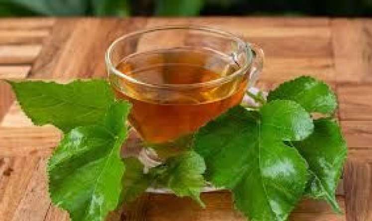 İltihablı qaraciyər üçün təbii bitki 