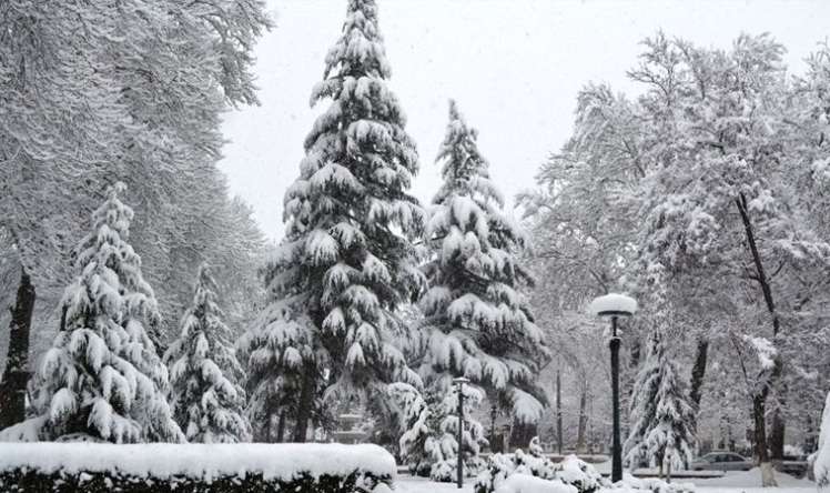 Sabah hava necə olacaq? 