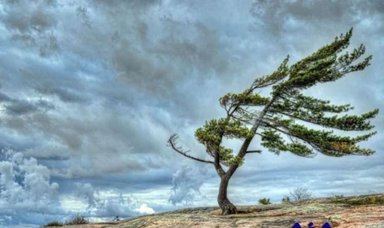 Hava ilə bağlı Sarı xəbərdarlıq 