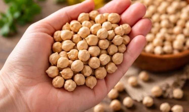 Hər gün 1 ovuc noxud yesək  nə olar?