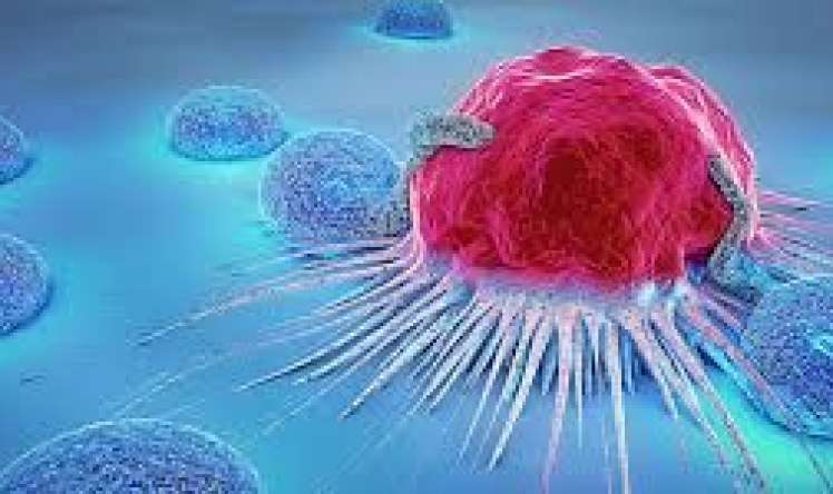  Yeni ildən sonra aktivləşən xərçəng növləri 