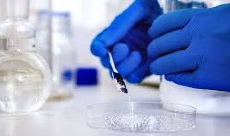 Qanaxmanı dərhal dayandıran toz   - kəşf edildi