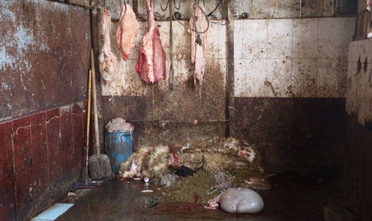 Bu bazarda ət məhsulları antisanitar şəraitdə satılırmış -  VİDEO