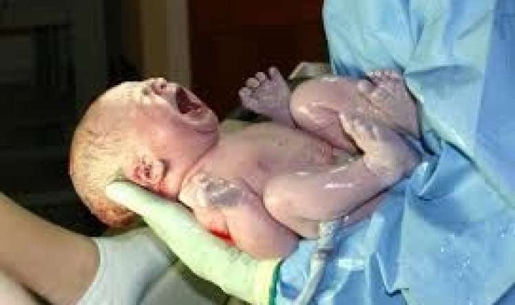 2026-ci ilin ilk həftəsində    - doğulanlar və ölənlər