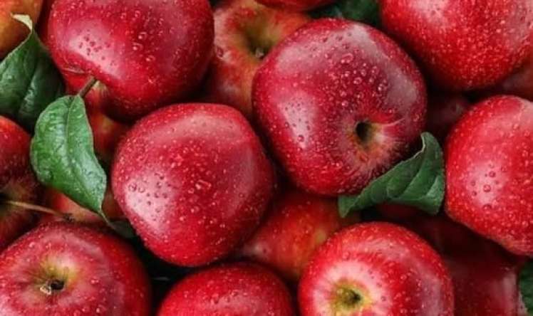 Avtomobildə alma saxlayın -  Səbəbi